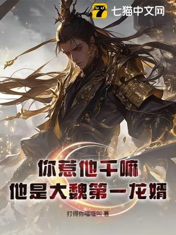 《你惹他干嘛？他是大魏第一龙婿！》小说封面