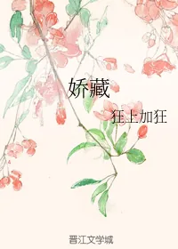 《娇藏》小说封面