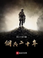 《佣兵二十年》小说封面