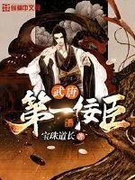 《武唐第一佞臣》小说封面