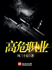 《高危职业》小说封面