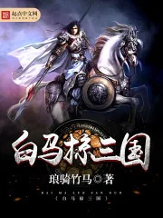 《白马掠三国》小说封面