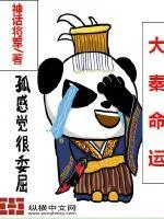 《大秦命运》小说封面