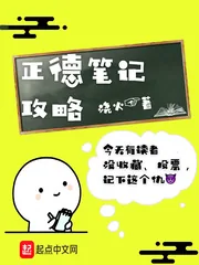 《正德笔记攻略》小说封面