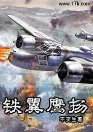 《铁翼鹰扬》小说封面