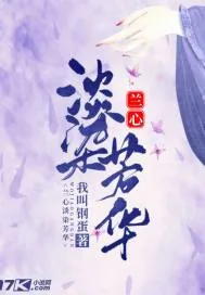 《兰心淡染芳华》小说封面