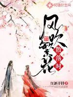《风吹繁花散落时》小说封面
