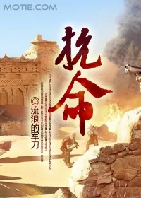 《抗命》小说封面