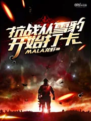 《抗战从雪豹开始打卡》小说封面