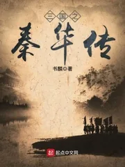 《三国之秦华传》小说封面