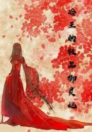 《冷王的极品御灵妃》小说封面