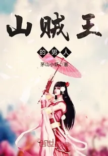 《山贼王的男人》小说封面