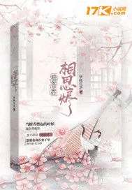 《傲娇皇子寻爱记》小说封面