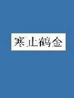 《寒止鹤金》小说封面