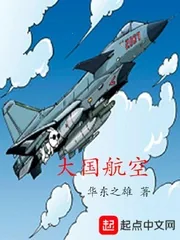 《大国航空》小说封面
