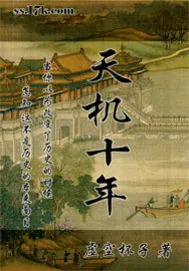 《天机十年》小说封面