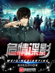 《危情谍影》小说封面