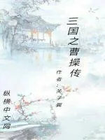 《三国之曹操传》小说封面