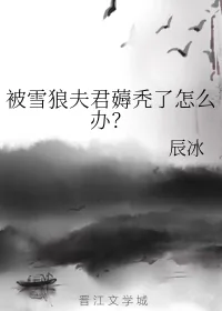 《被雪狼夫君薅秃了怎么办？》小说封面