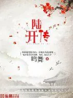《陆开传》小说封面