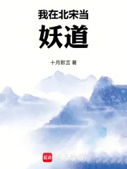 《我在北宋当妖道》小说封面