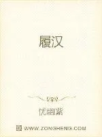 《履汉》小说封面