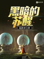 《黑暗的苏醒》小说封面