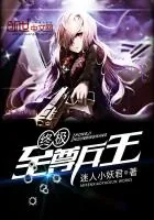 《终极至尊兵王》小说封面