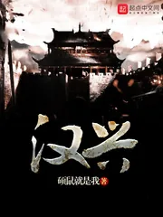 《汉兴》小说封面