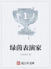《绿茵表演家》小说封面