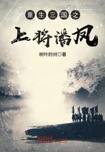 《重生三国之上将潘凤》小说封面