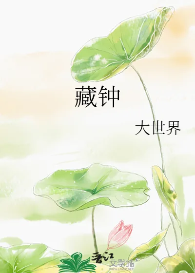 《藏钟》小说封面