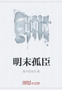 《明末孤臣》小说封面