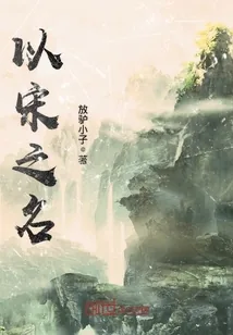 《以宋之名》小说封面