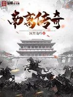 《南离传奇》小说封面
