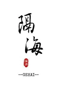 《隔海》小说封面