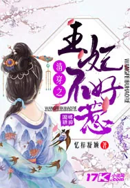 《清穿之王妃不好惹》小说封面