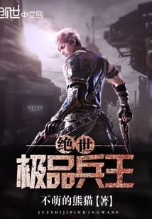 《绝世极品兵王》小说封面