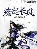 《燕起长风》小说封面