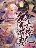 《猫系萌妻太撩人》小说封面