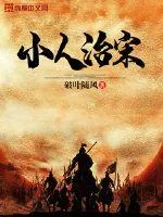 《小人治宋》小说封面