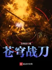 《苍穹战刀》小说封面