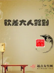 《钦差大人驾到》小说封面