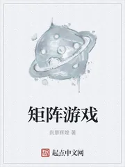 《矩阵游戏》小说封面