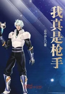 《我真是枪手》小说封面