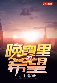 《晚霞里的希望》小说封面