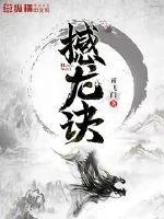 《撼龙诀》小说封面