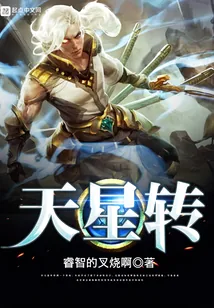 《天星转》小说封面