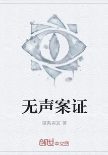《无声案证》小说封面