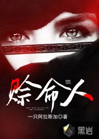 《赊命人》小说封面